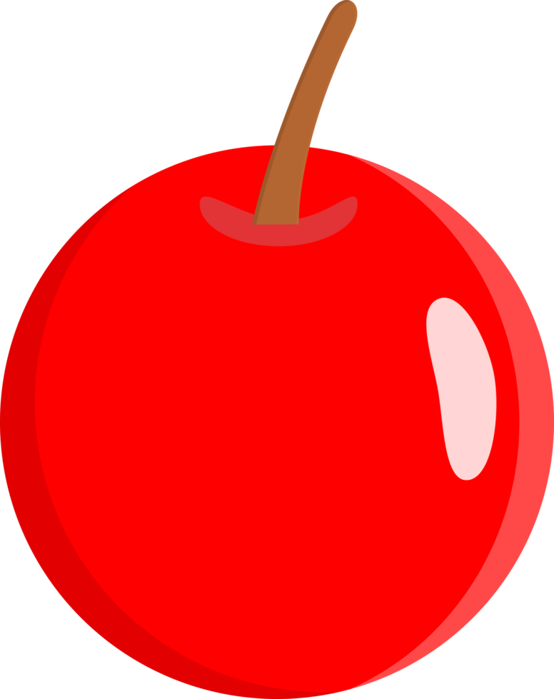 Cereza Fruta con aislado png