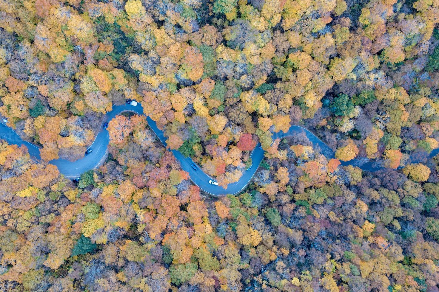 Panoramic view of peak fall foliage in Smugglers Notch, Vermont. photo