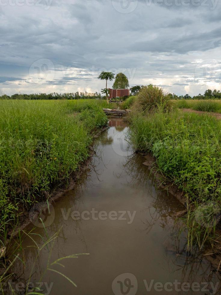 The small canal for irrigation in the farming season. photo