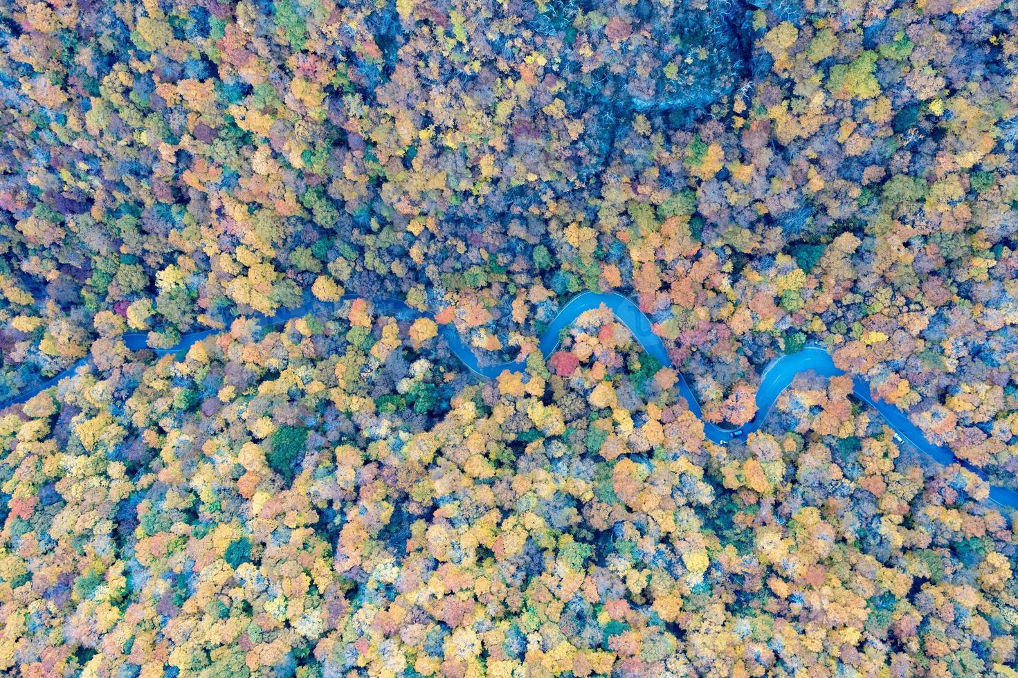 Panoramic view of peak fall foliage in Smugglers Notch, Vermont. photo