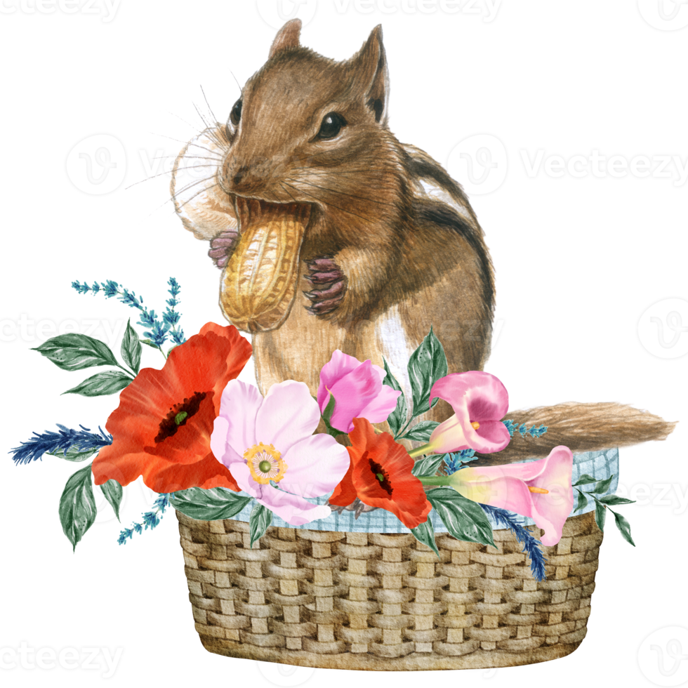 Spring floral watercolor with cute squirrel animal png