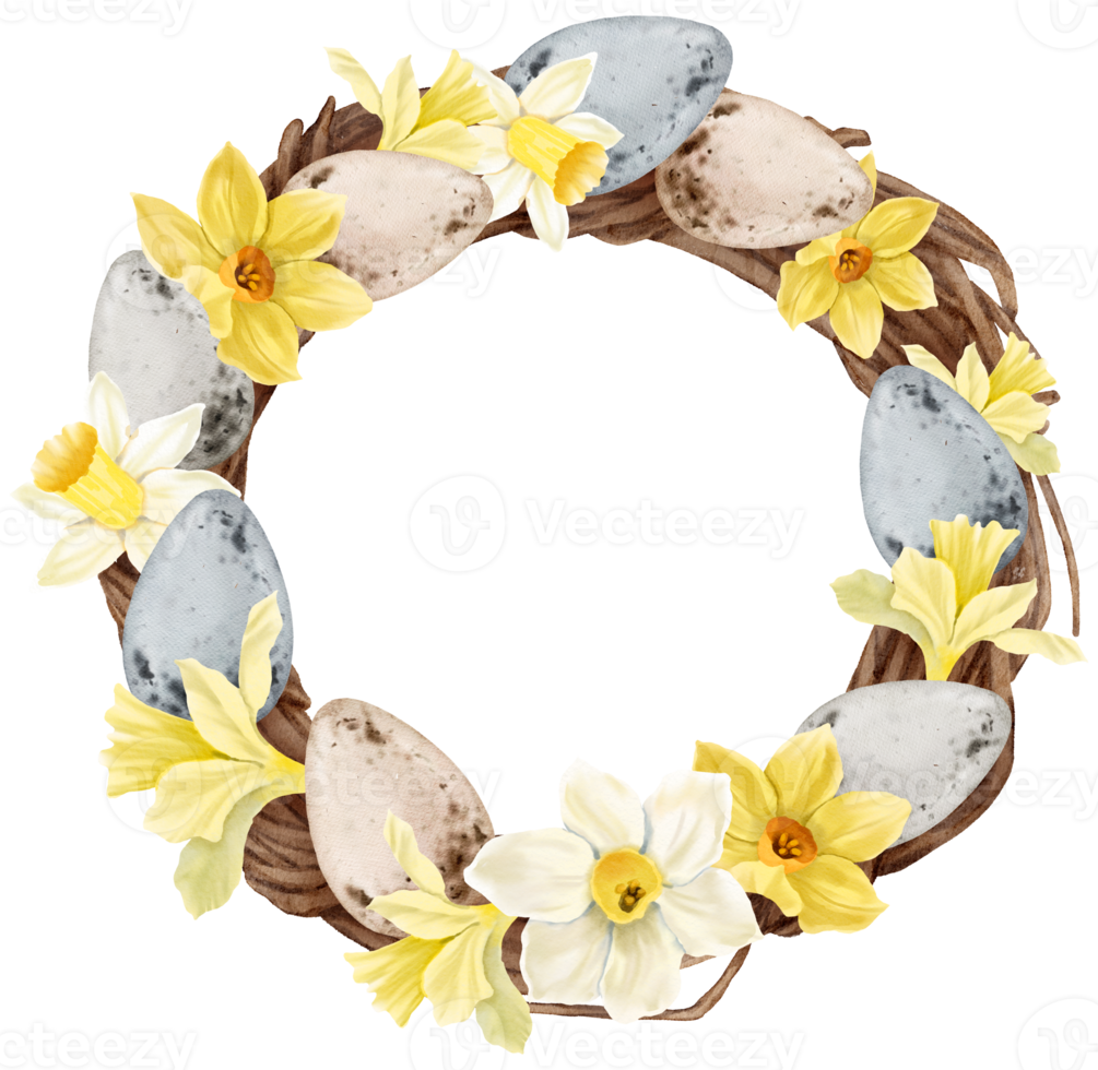 Easter eggs wreath watercolor with daffodils flower png