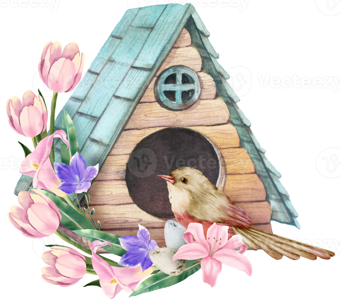vogelhuisje met voorjaar bloem waterverf png