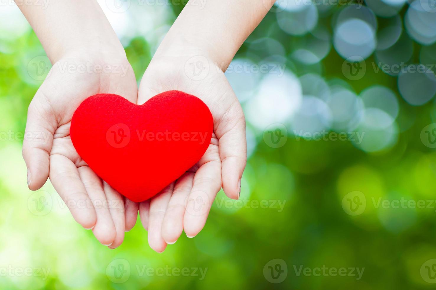 Close up Red heart in woman hands, isolated on green nature background,health, medicine, people and cardiology concept photo