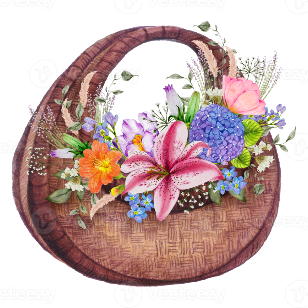 Spring flower with vintage basket watercolor png