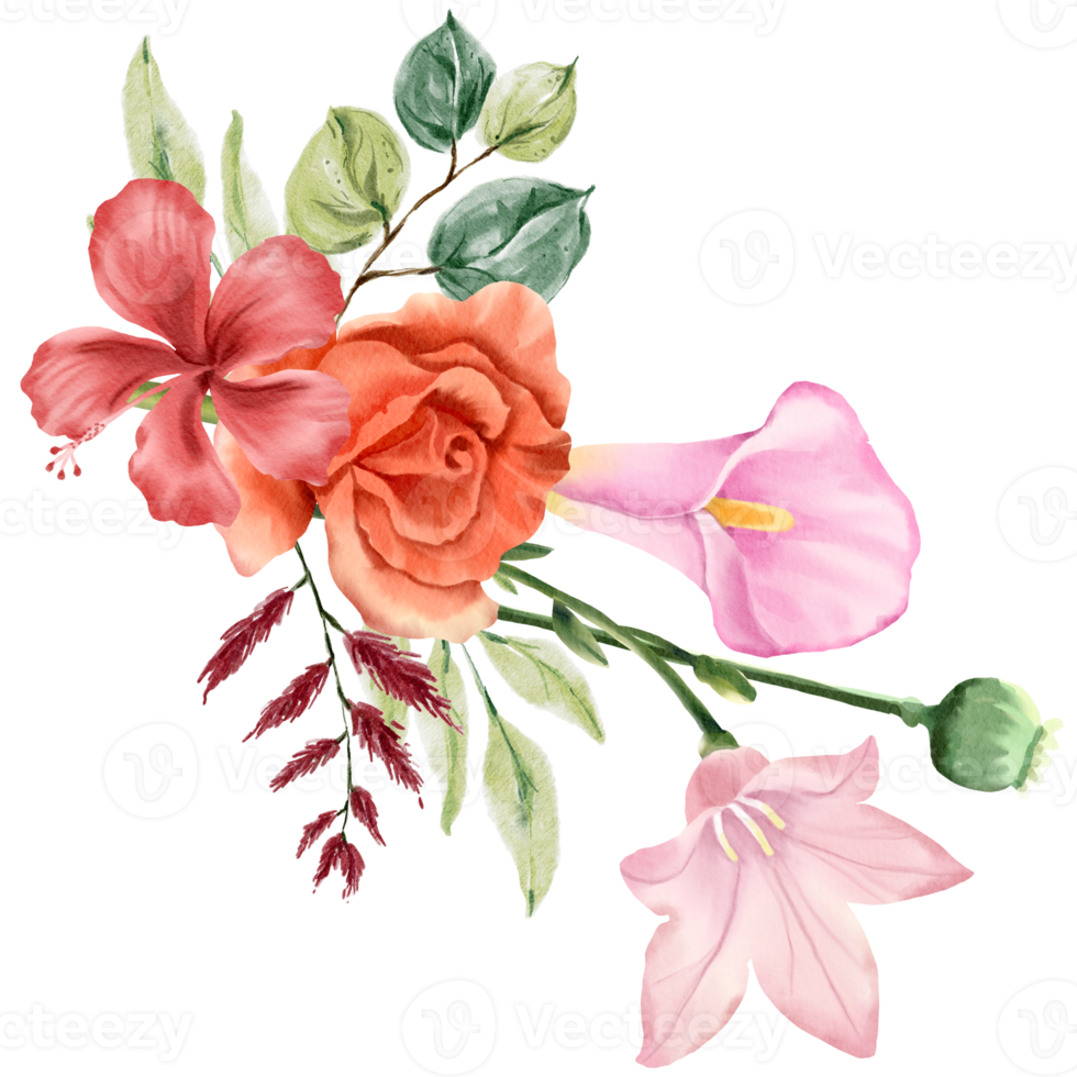 Spring floral bouquet watercolor red and pink flower blooming png