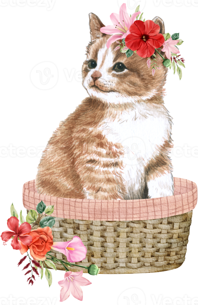 Spring floral watercolor with cute cat animal png