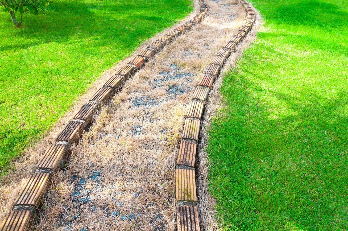 Walkway curve on grass at garden,A path, walkway from the park photo