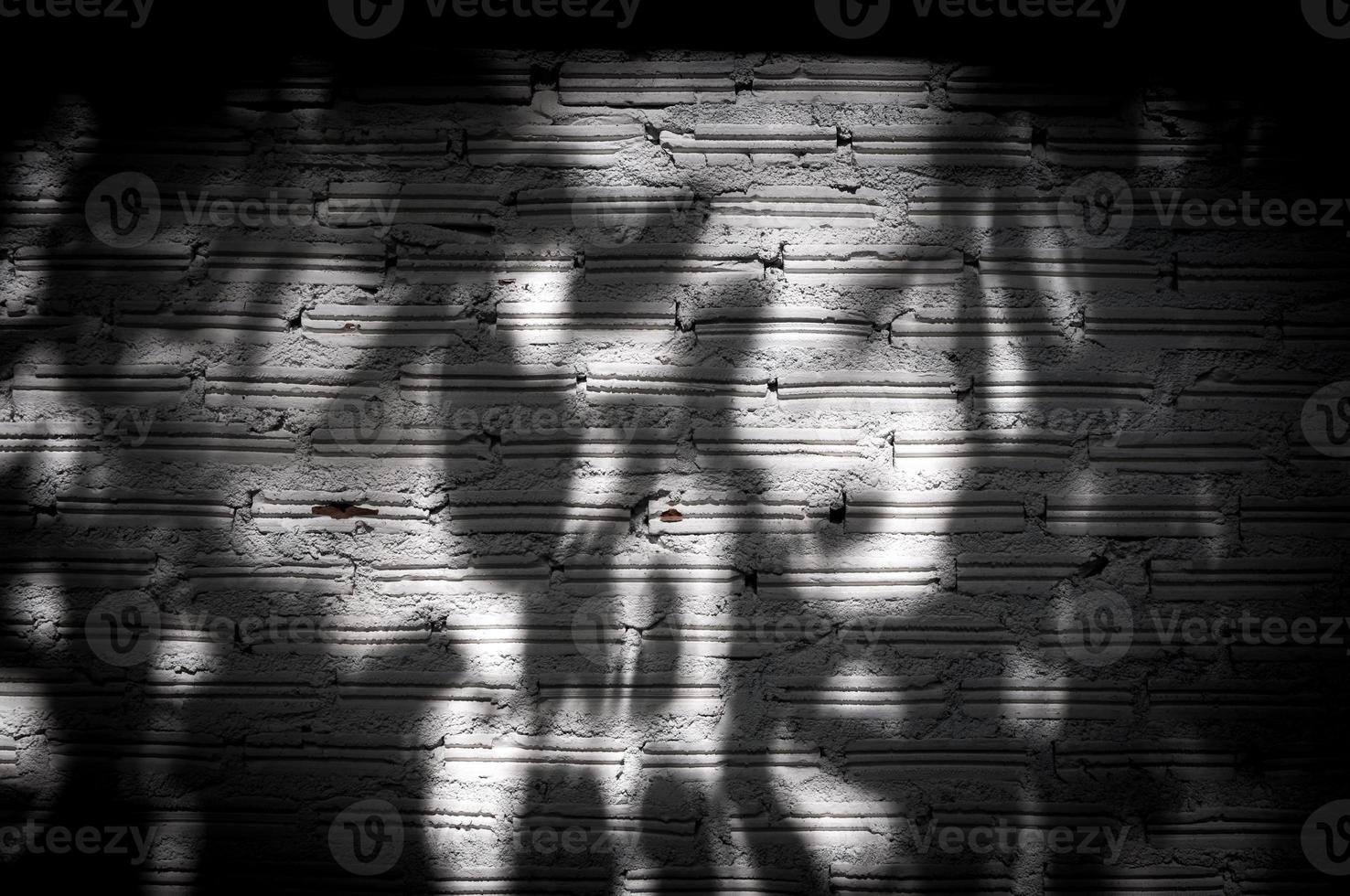 brick wall white dark Shadow tree for background,Abstract background  brick wall texture photo