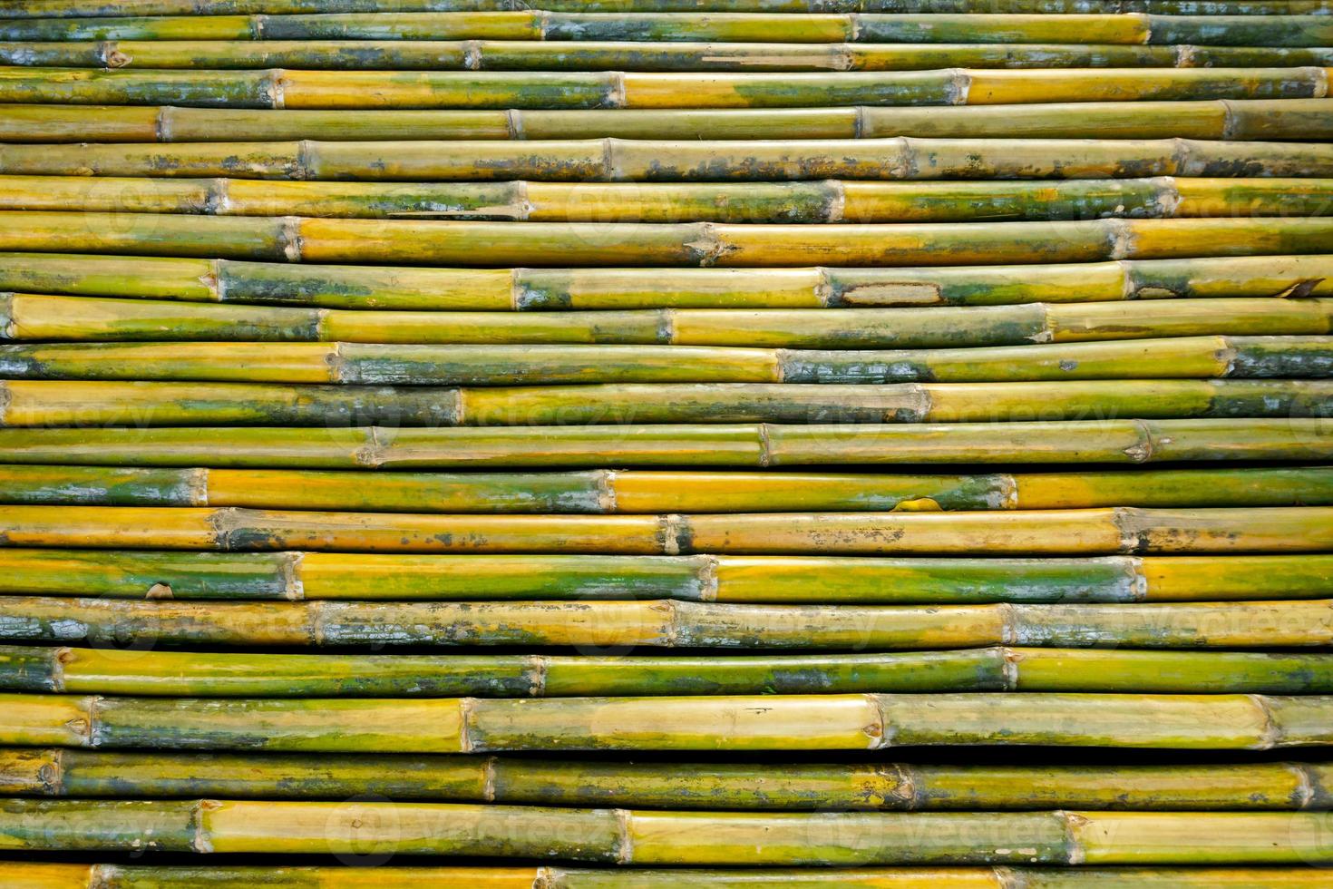 Bamboo fence background photo