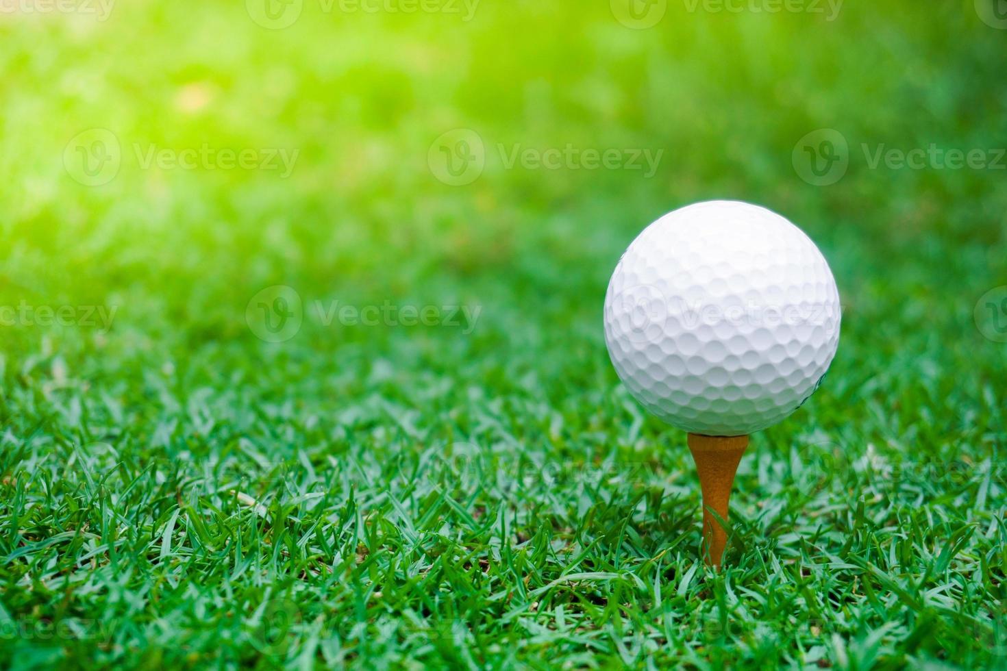 Green grass with golf ball close-up in soft focus at sunlight. Sport playground for golf club concept ,Golf ball on tee ready to be shot photo