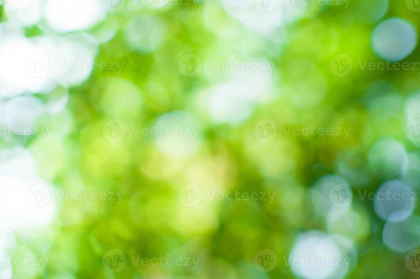 resumen naturaleza verde bokeh desde árbol fondo, para antecedentes foto