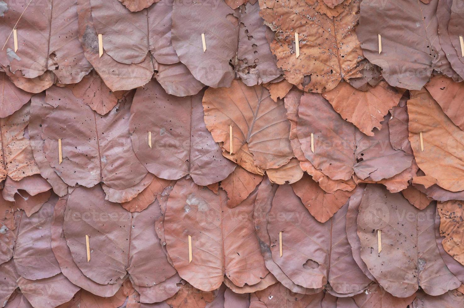 Walls made of teak leaves,close up background and texture of decorative dry leaves on traditional wall of cottage,for background photo