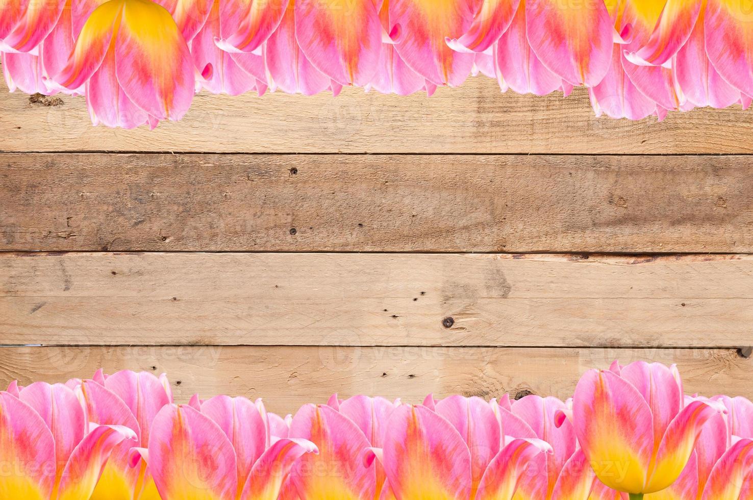 Tulips, frame  Fresh spring tulips flowers with space for text  on wooden background photo