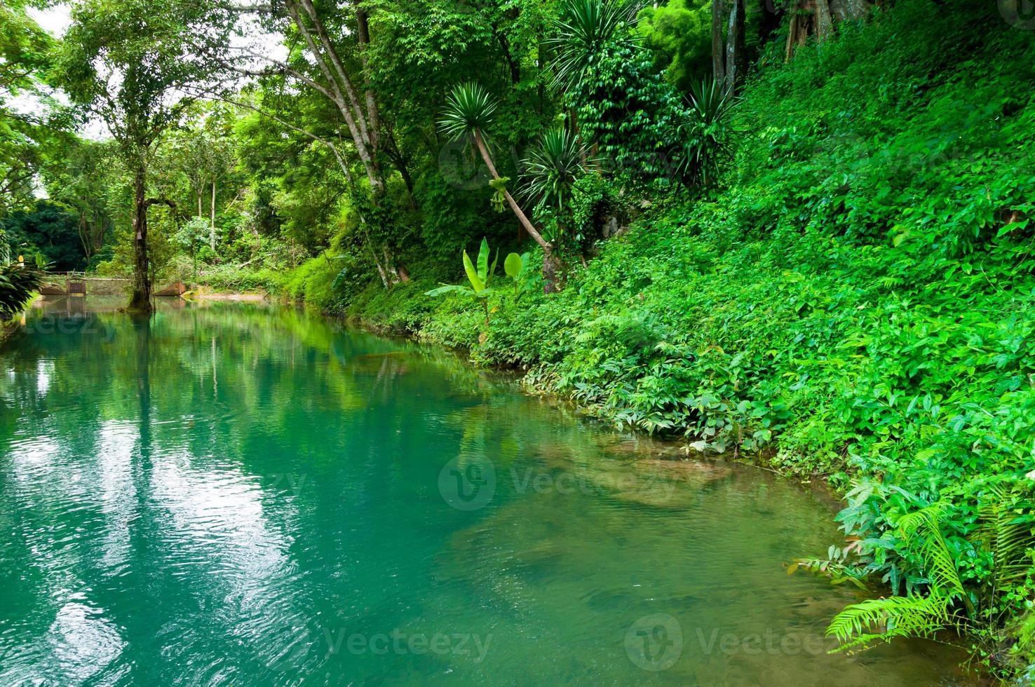 Emerald lagoon in a wild scenic forest.amazing full color lake in the ancient ecosystem photo