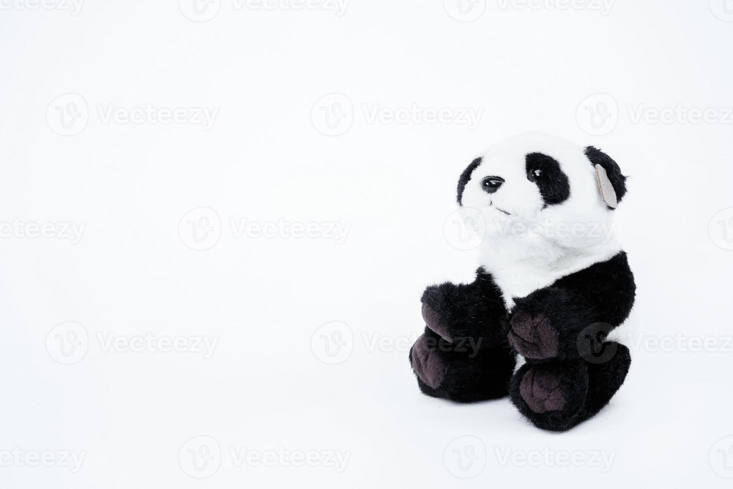 Panda doll black and white, black rim of eyes,panda toy for kid on white background photo