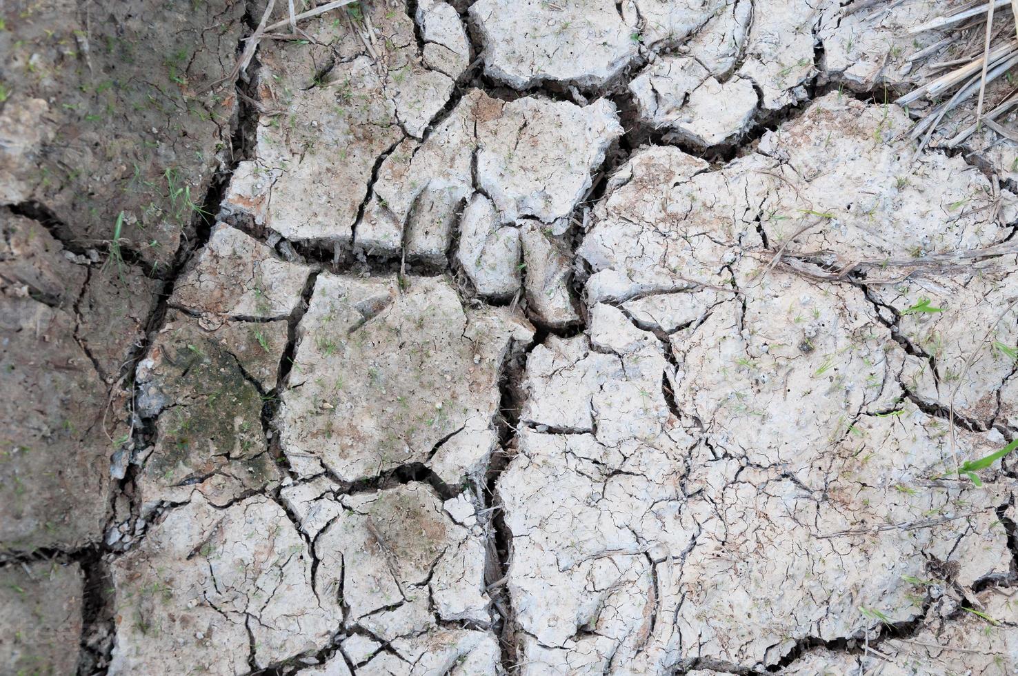 Cracked and barren ground,Dry soil textured background photo