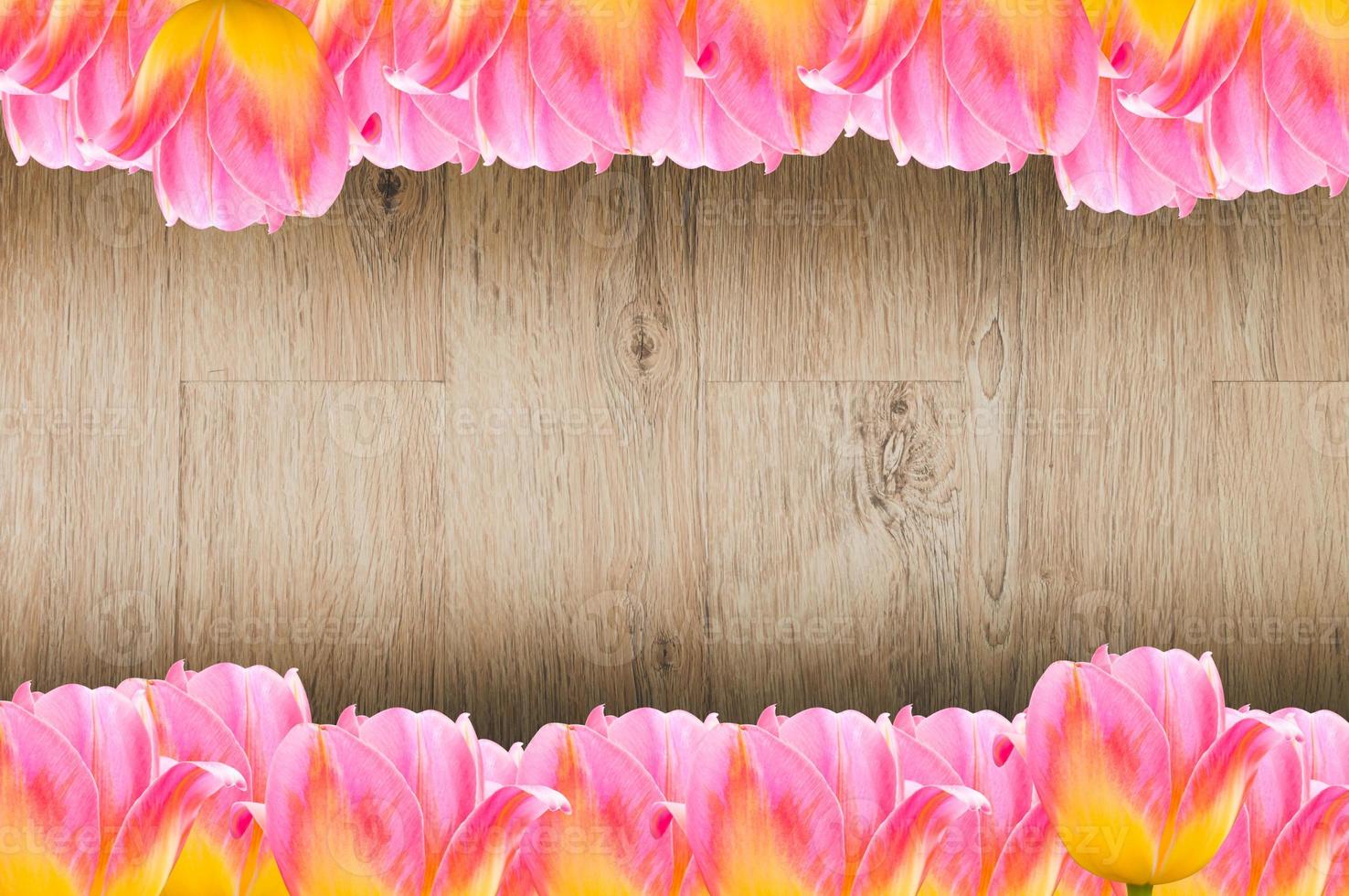 Tulips, frame  Fresh spring tulips flowers with space for text  on wooden background photo