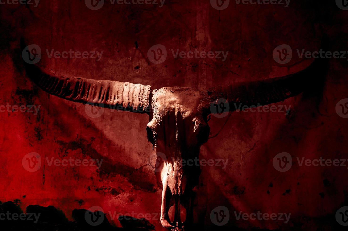 Buffalo skull with mystic symbol on dark red background photo