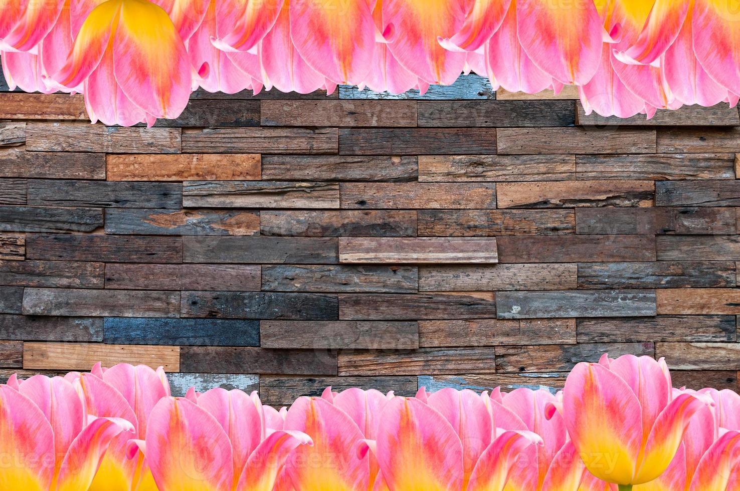 Tulips, frame  Fresh spring tulips flowers with space for text  on wooden background photo