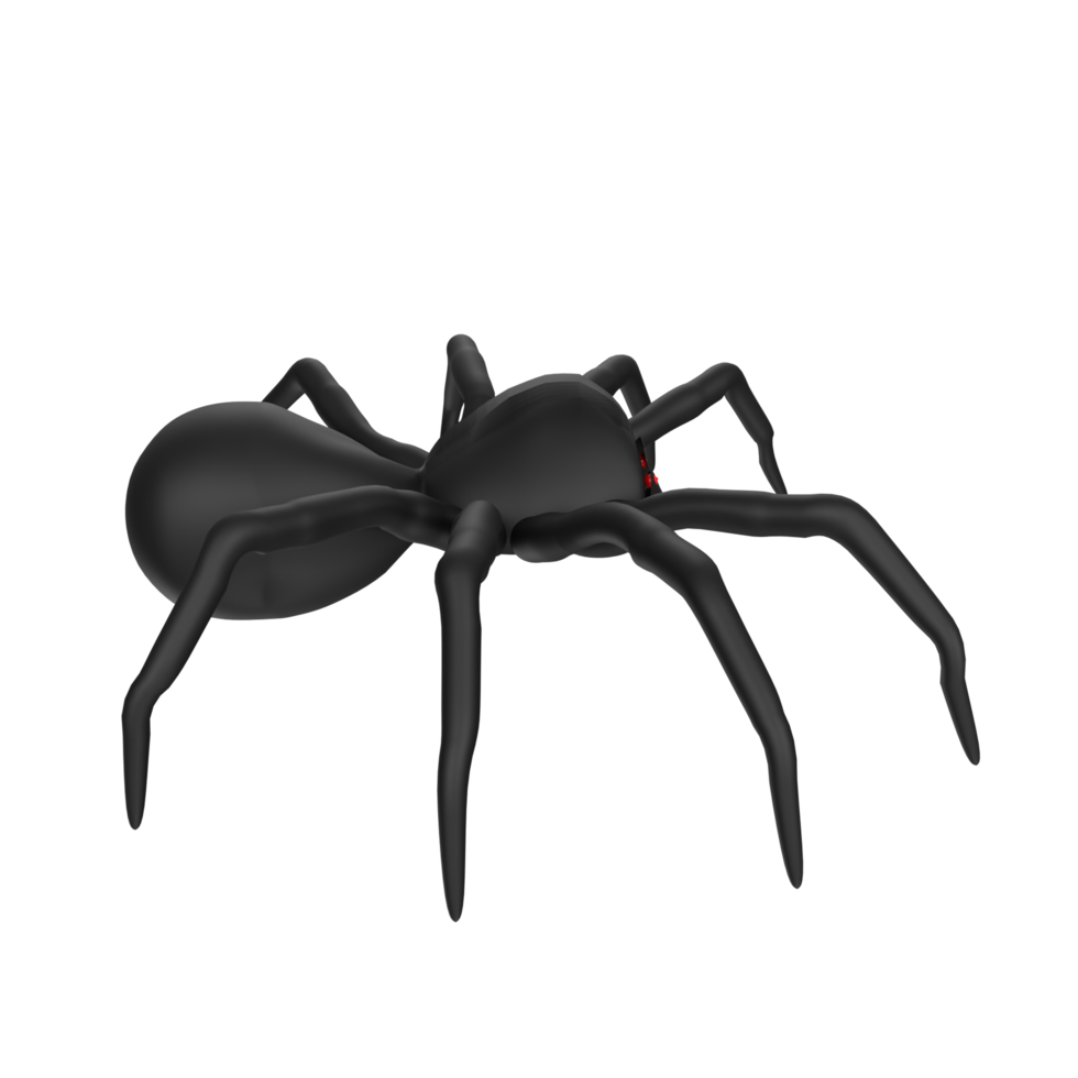 illustration of a spider isolated on transparent png