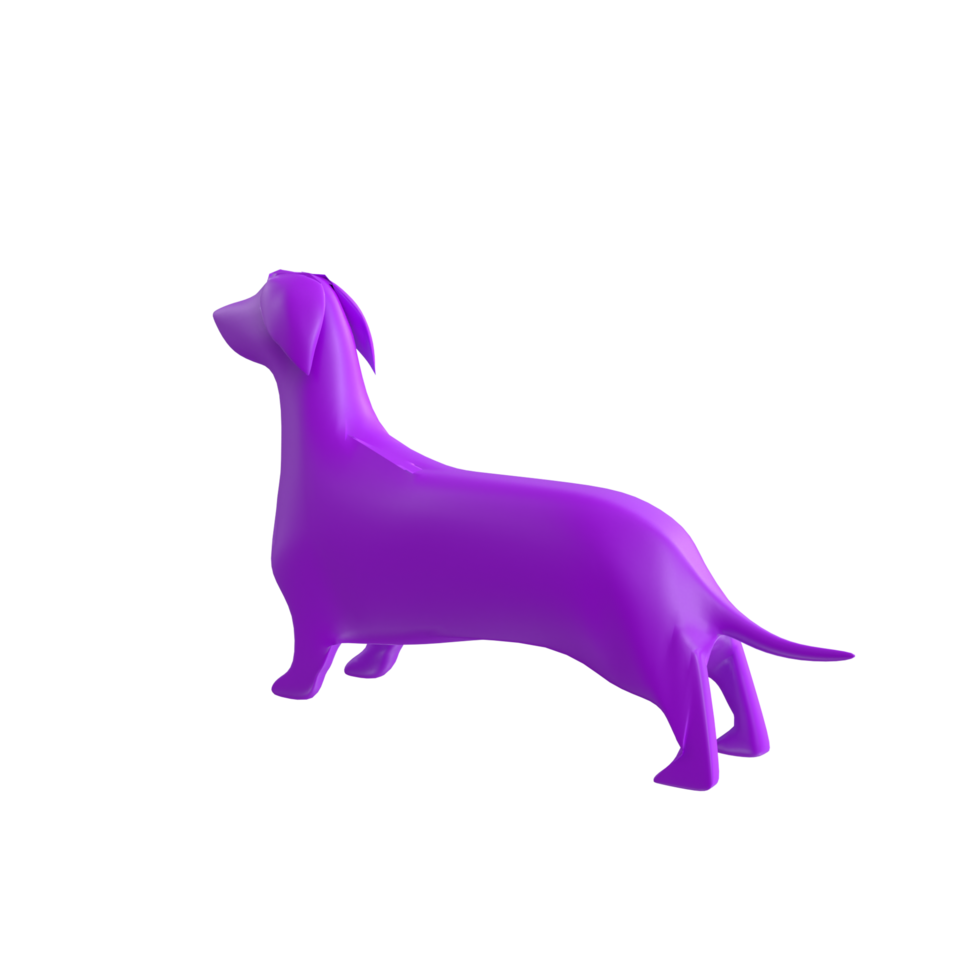 dog isolated on transparent background png