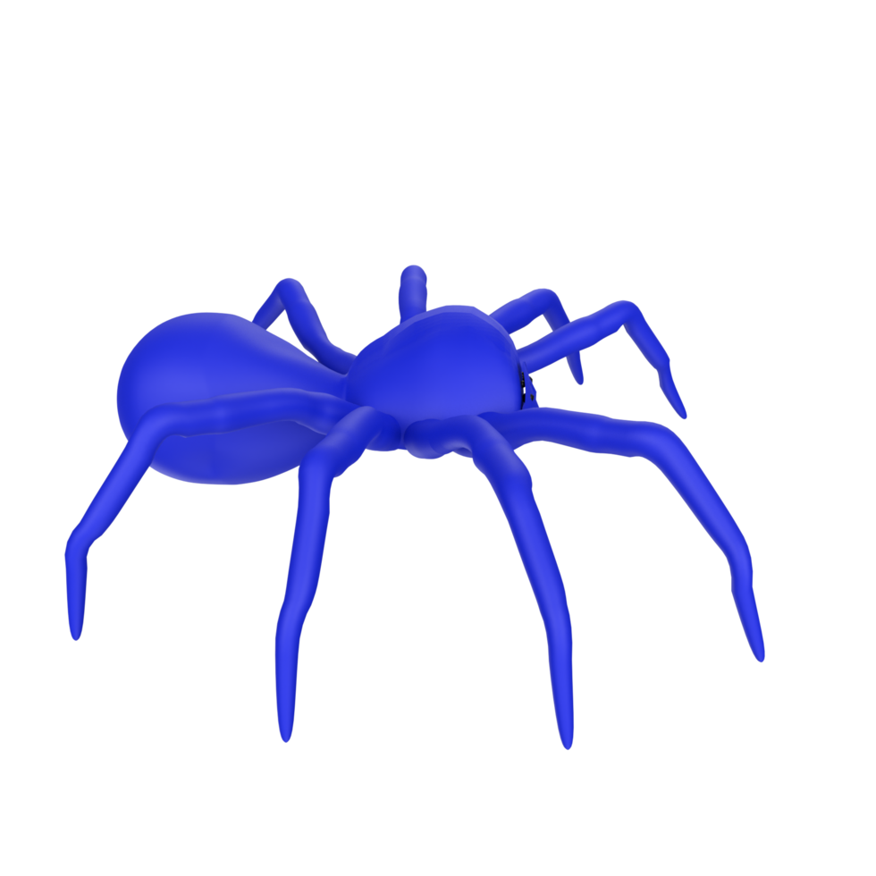 illustration de une araignée isolé sur transparent png