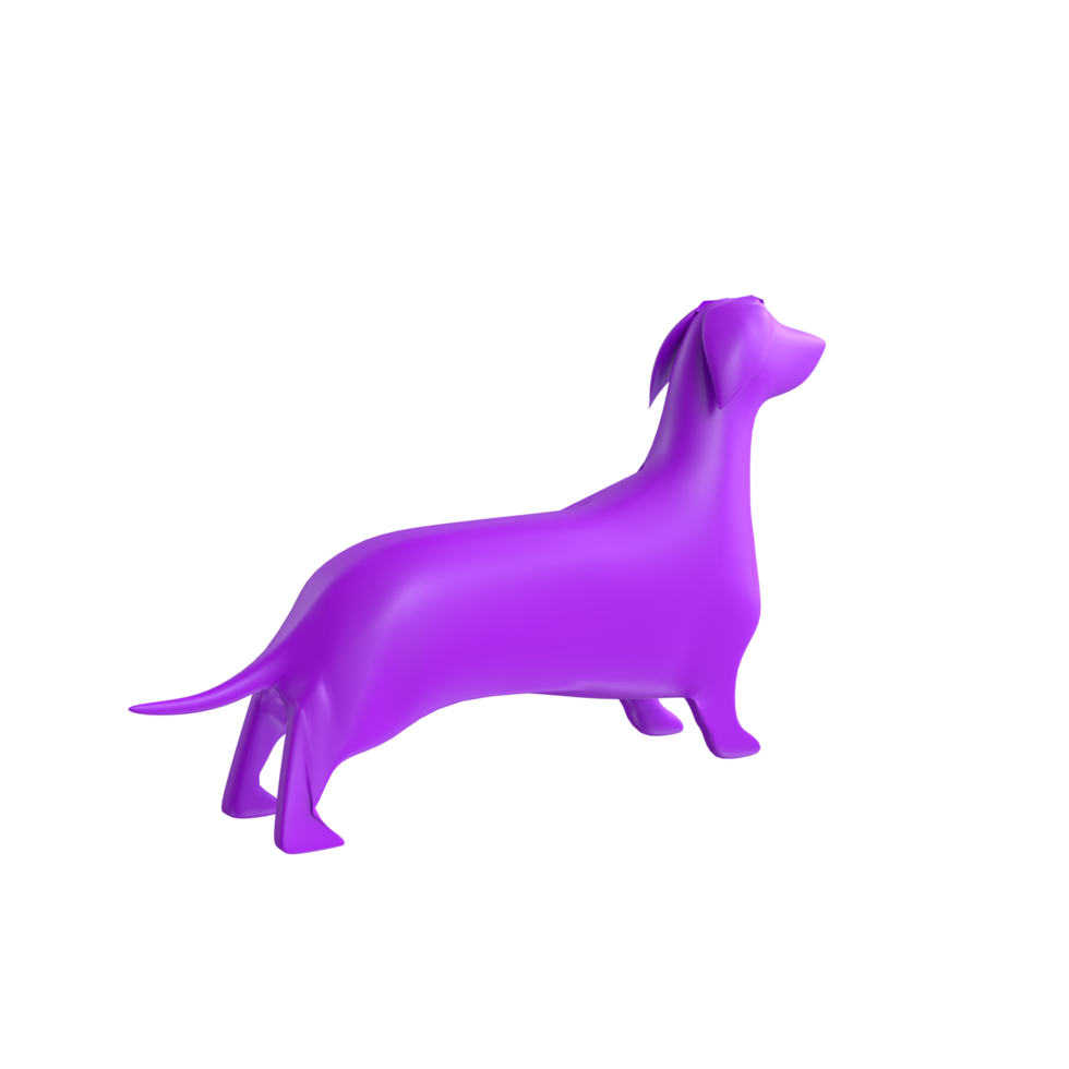 dog isolated on transparent background png