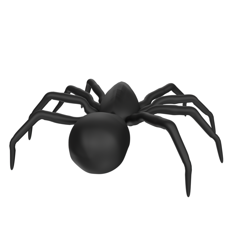 illustration of a spider isolated on transparent png