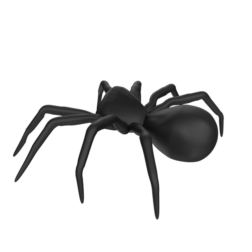 illustration of a spider isolated on transparent png