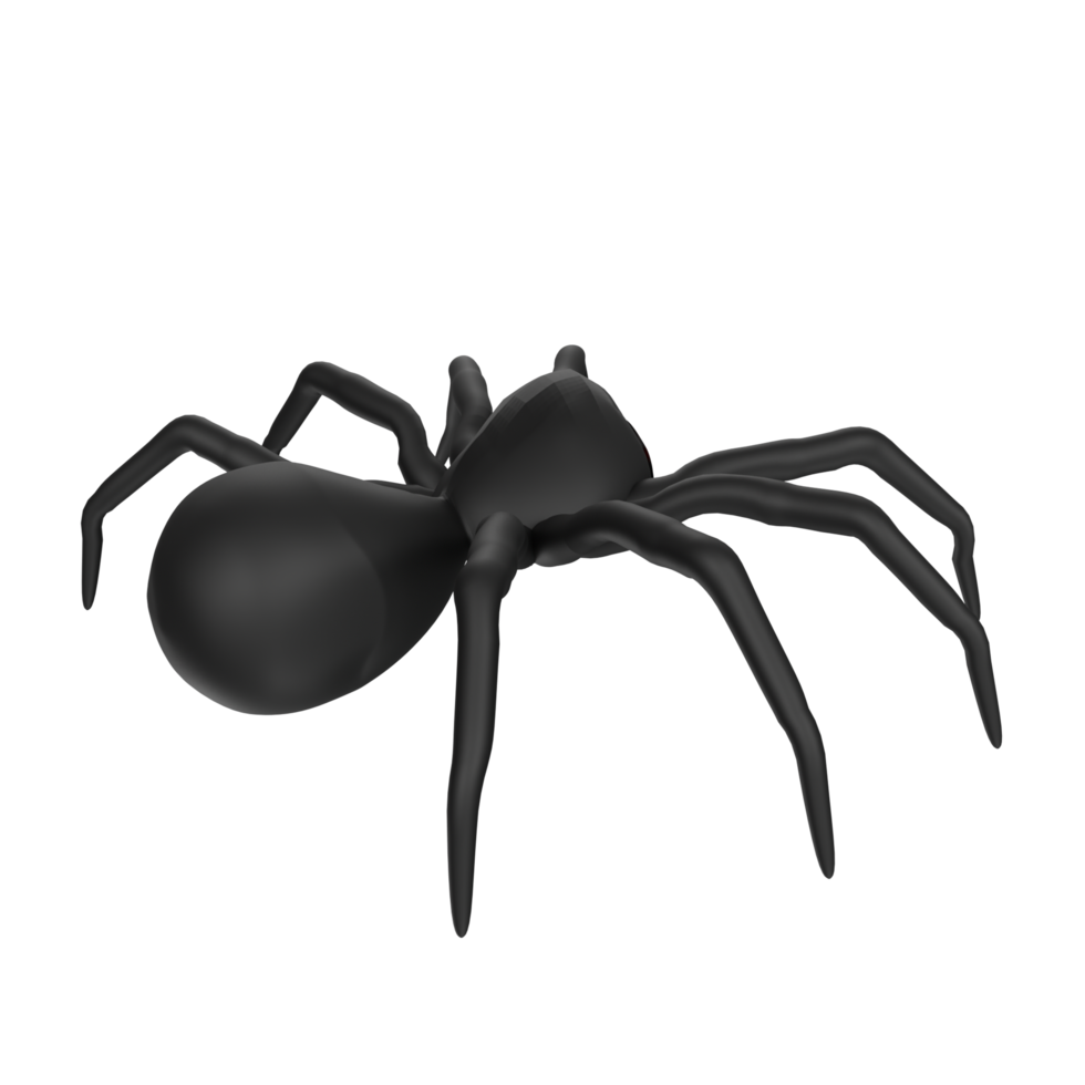 illustration of a spider isolated on transparent png