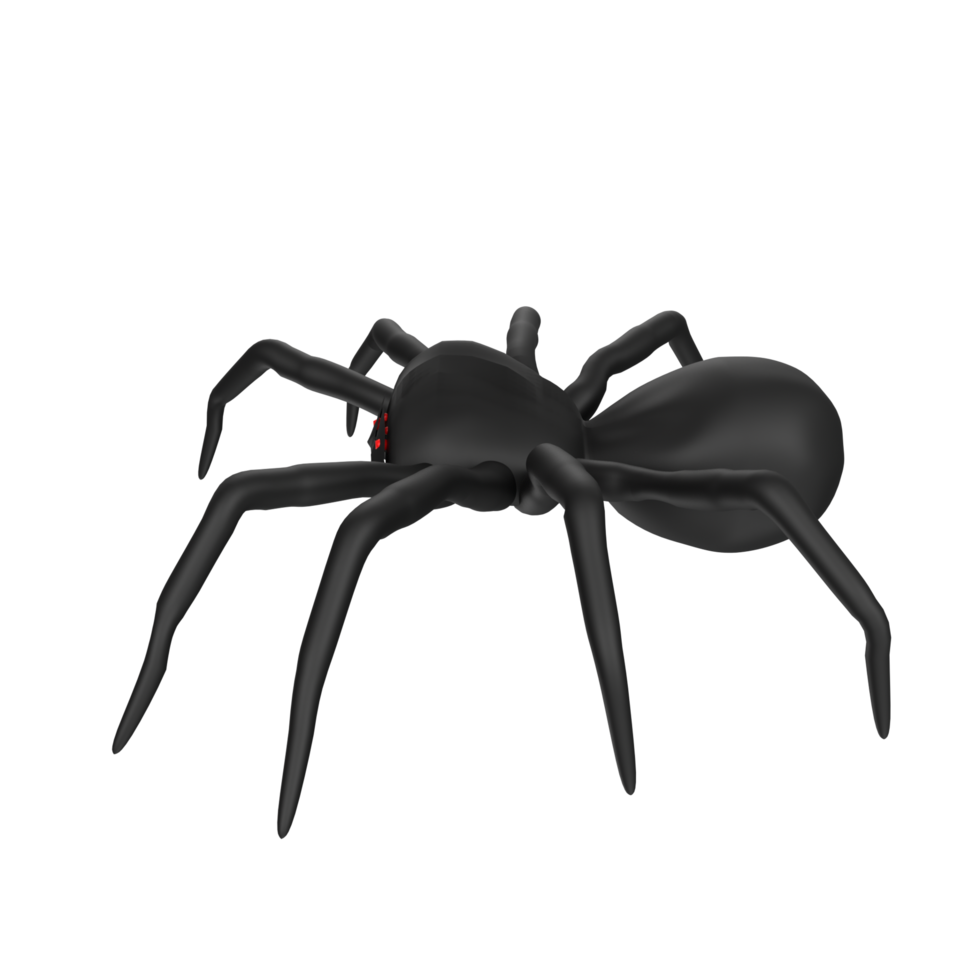 illustration of a spider isolated on transparent png