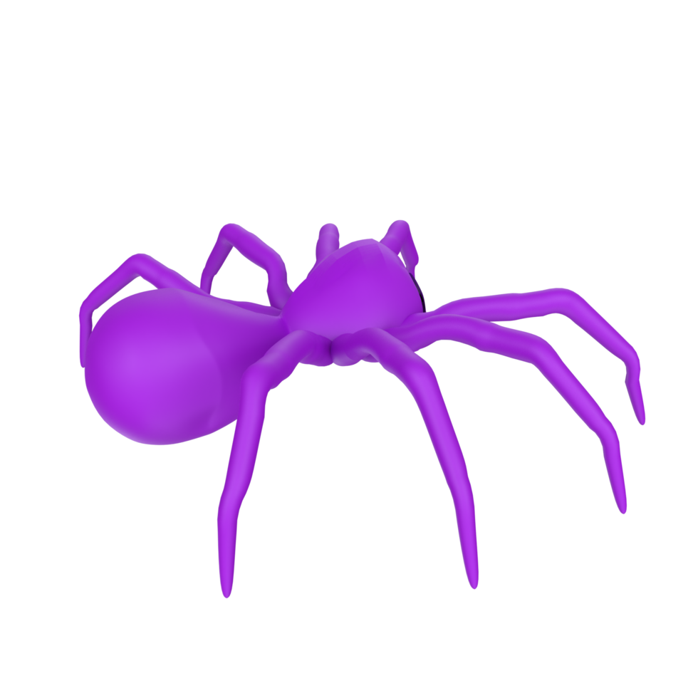 illustration of a spider isolated on transparent png