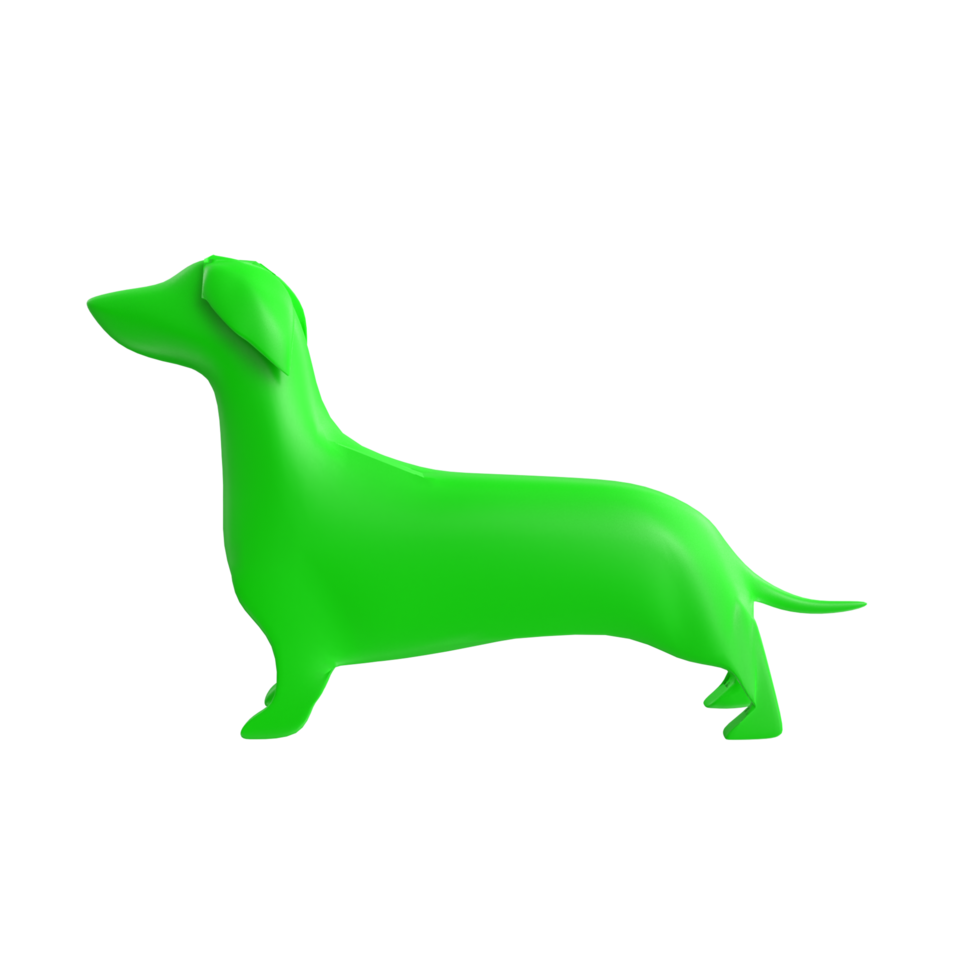 dog isolated on transparent background png
