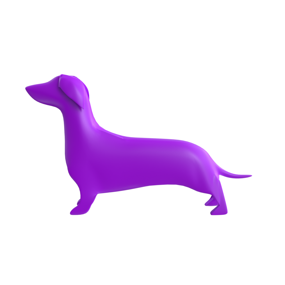 dog isolated on transparent background png