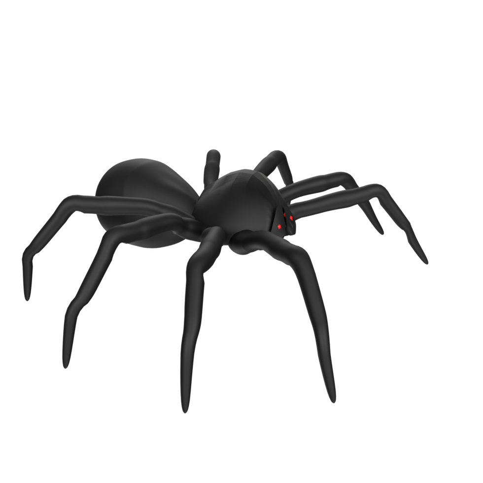 illustration of a spider isolated on transparent png