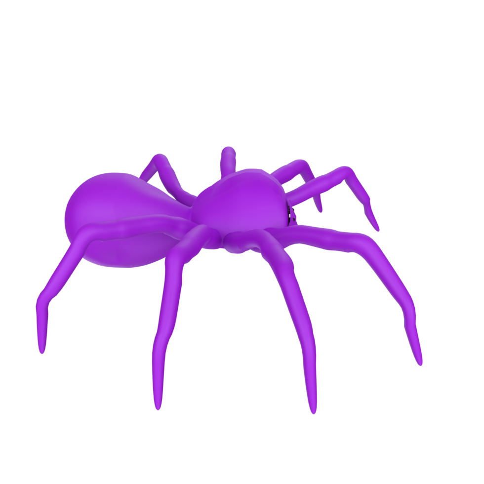 illustration of a spider isolated on transparent png