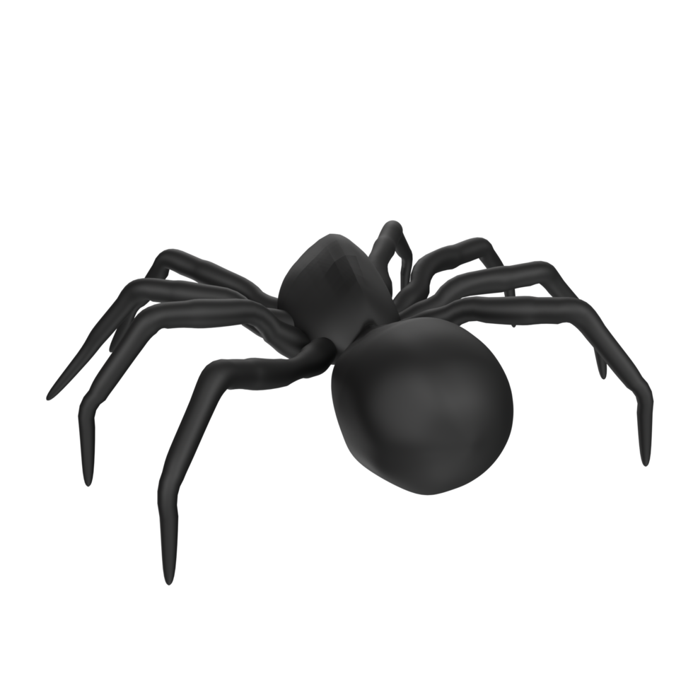 illustration of a spider isolated on transparent png