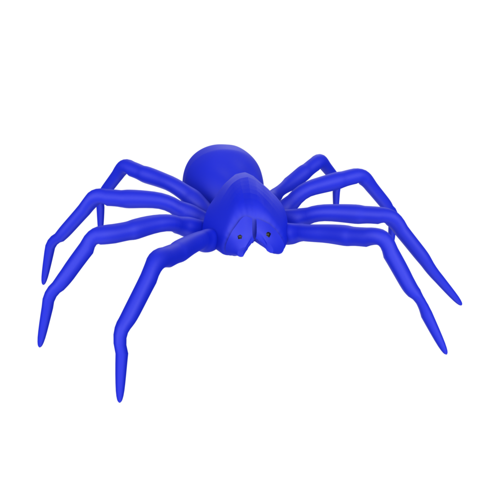 illustration of a spider isolated on transparent png