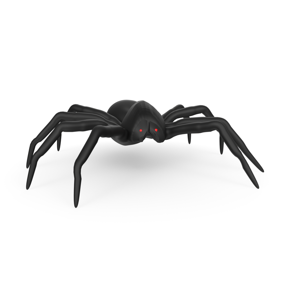 illustration of a spider isolated on transparent png