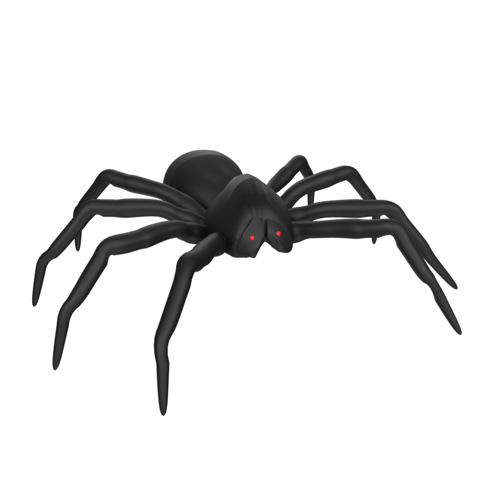 illustration of a spider isolated on transparent png