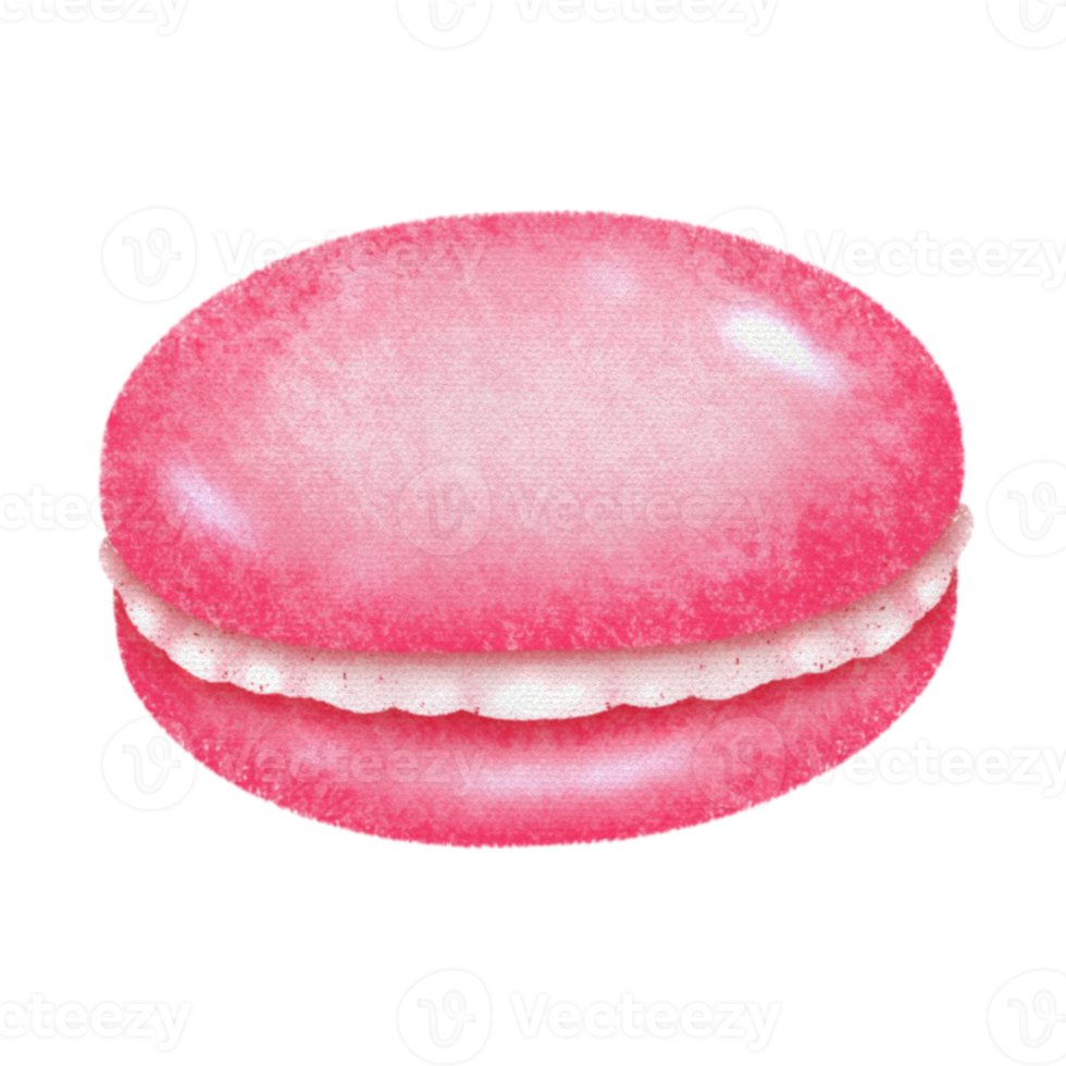 rose sucré macaron crayon peindre png