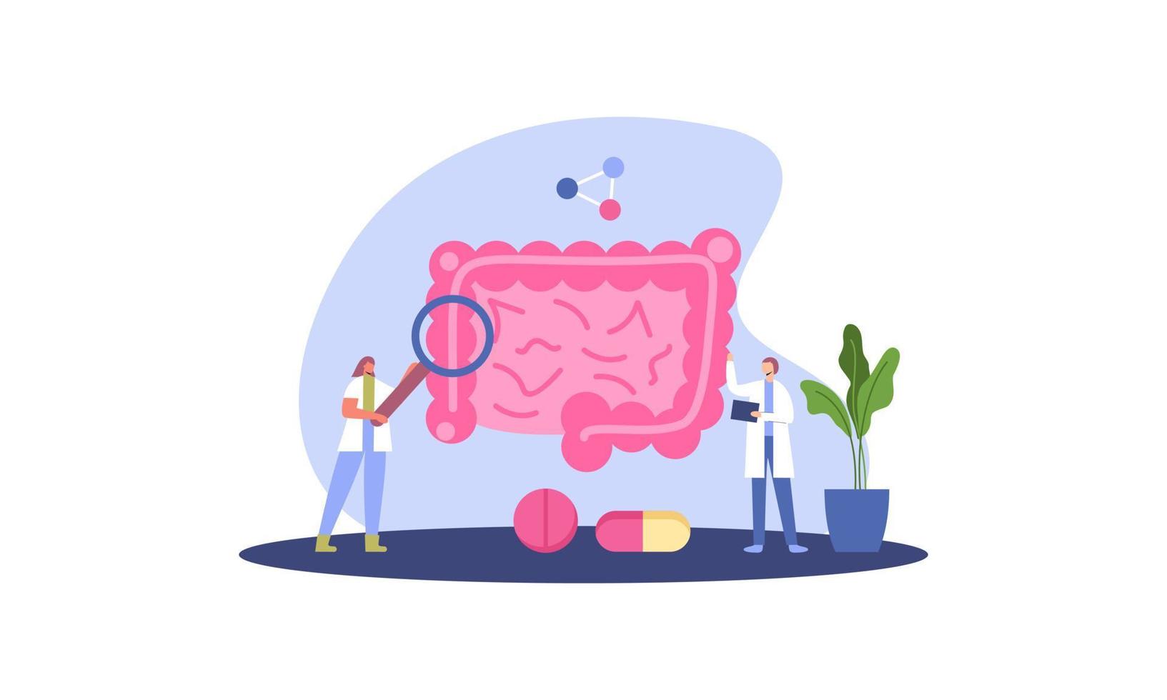 minúsculo doctores examinando intestino flora, salud concepto ilustración vector