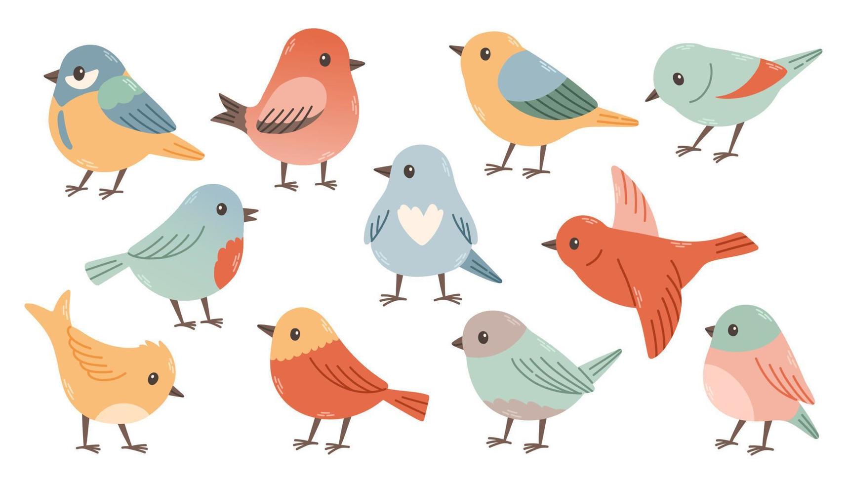 Set of spring birds. Vector cartoon illustration in childish style. Different birds. Images are isolated on white.