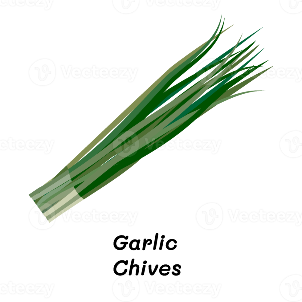 Essential Ingredients of Thai Cooking garlic chives png