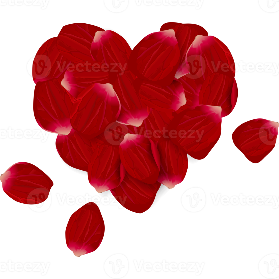 Valentine's day concept. rose petals arranged in a heart shape. png