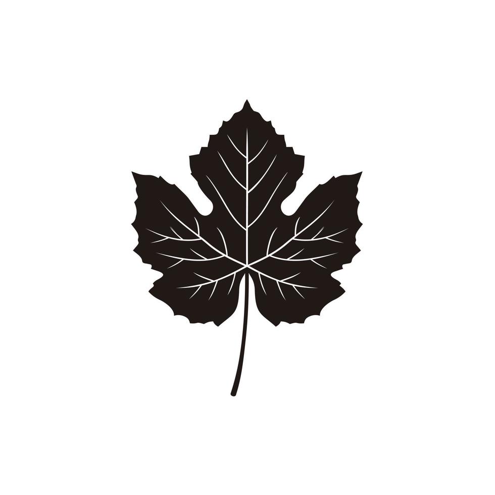 Maple leaf silhouette icon vector illustration isolated on black background