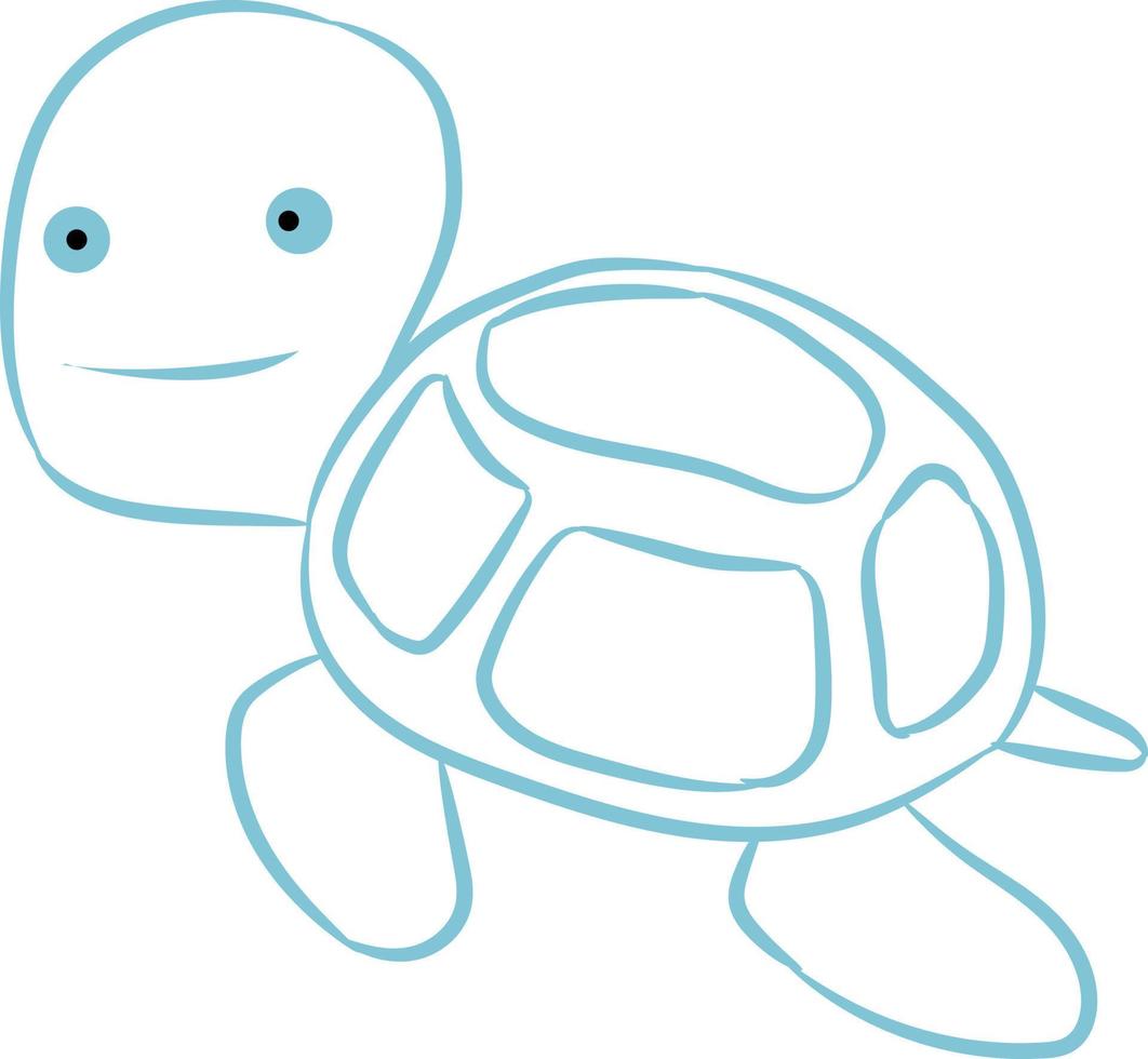 Turtle is a sea animal. vector