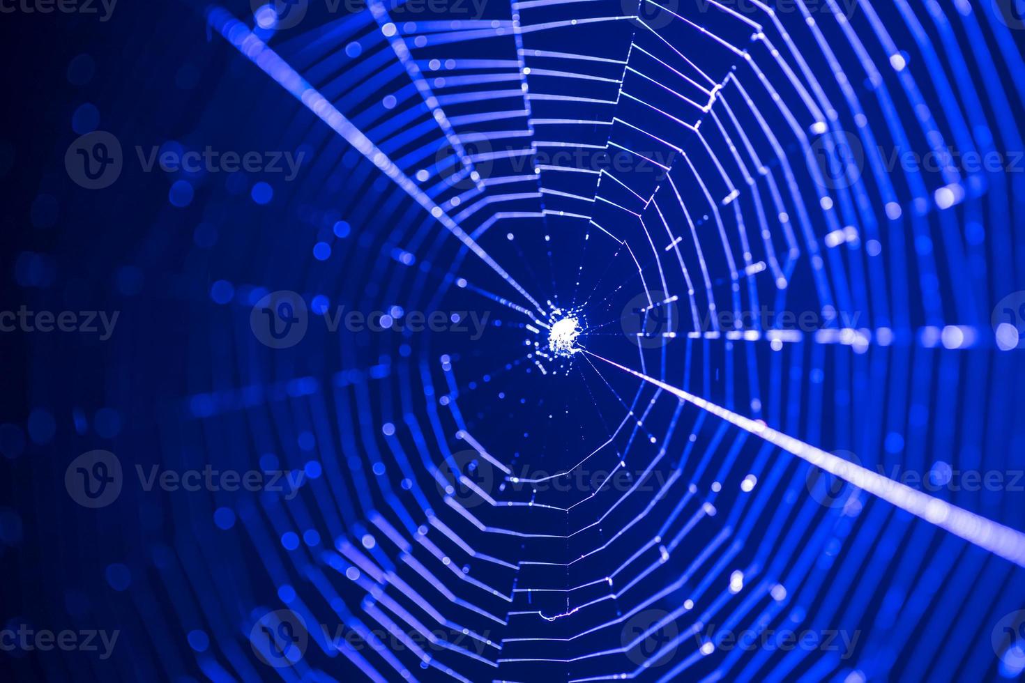 Beautiful web illuminated by blue light. Internet concept. photo