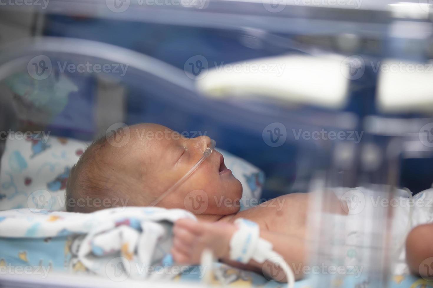 Premature baby in a medical box. photo